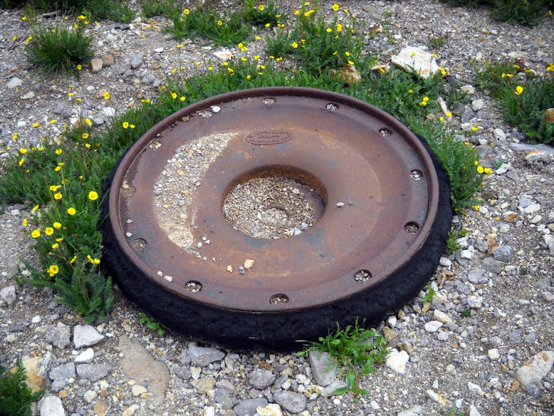 DSCN3654.JPG