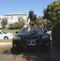 sexy car wash GIF