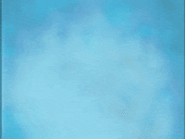 Celebrate Happy Birthday GIF by Jonas Brothers