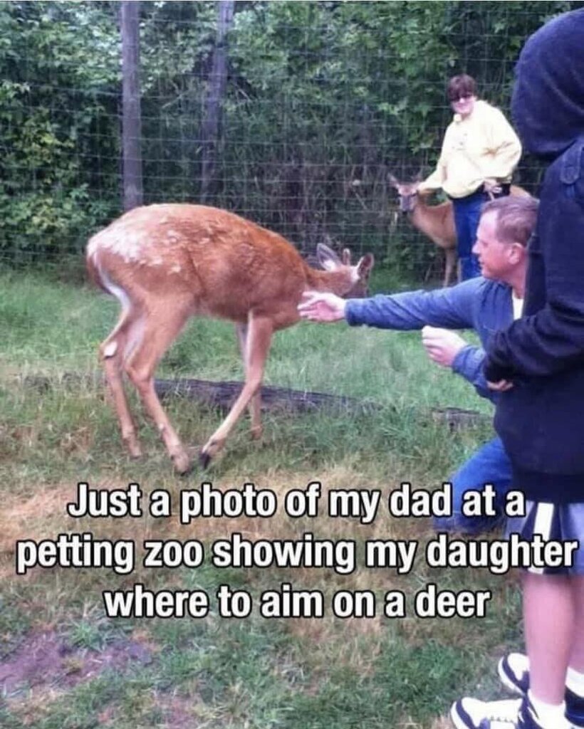 deer.jpg
