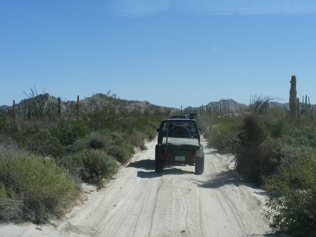 DSCF8832.JPG