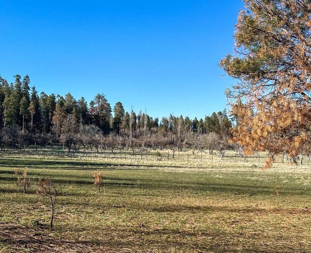 aztec-peak-abandoned-orchard-ranch-v0-bmfgachxc9qg1.thumb.jpeg.e518f8601ac9b90809f926a499b3a1aa.jpeg